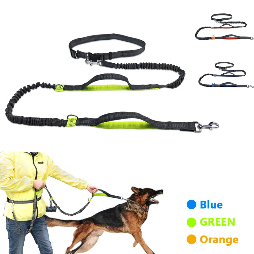 Leash Traction Rope Pet Dog Running Belt Elastic Hands Pull Dog