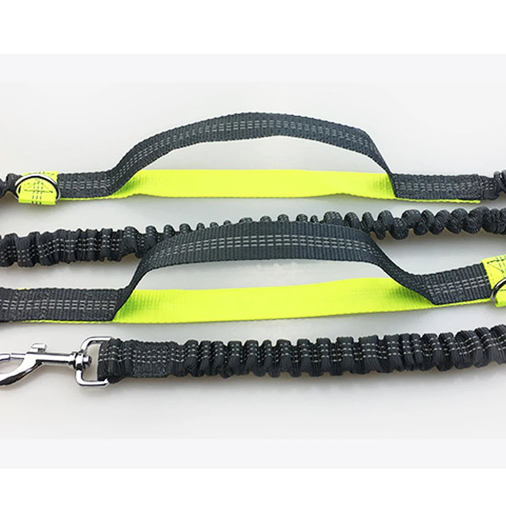 Leash Traction Rope Pet Dog Running Belt Elastic Hands Pull Dog