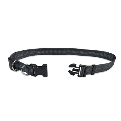 Leash Traction Rope Pet Dog Running Belt Elastic Hands Pull Dog