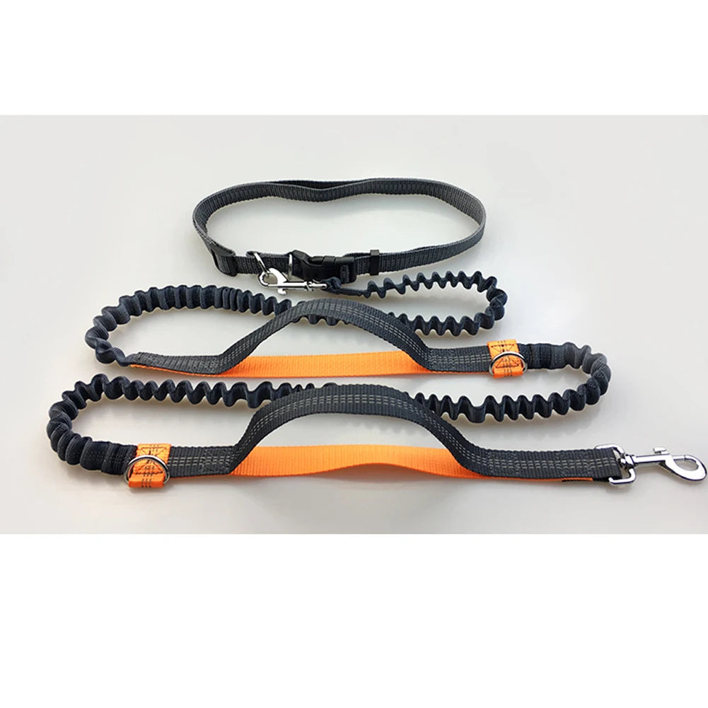 Leash Traction Rope Pet Dog Running Belt Elastic Hands Pull Dog