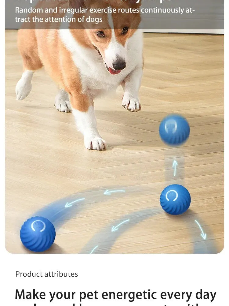 Dog Toys Intelligent Gravity Jump Ball Cat And Dog Chase Toys