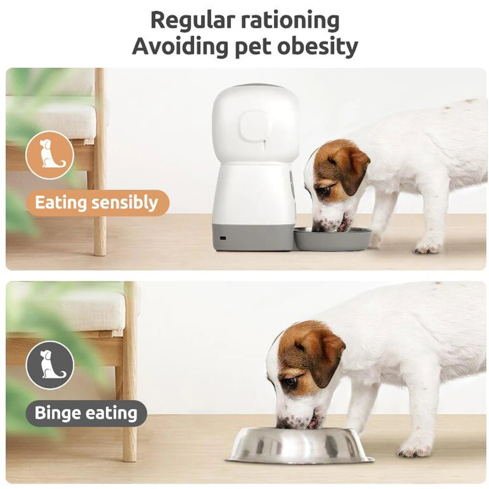 Automatic Pet Feeder For Cats WiFi Smart Swirl Slow Dog Feeder