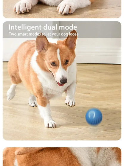 Dog Toys Intelligent Gravity Jump Ball Cat And Dog Chase Toys