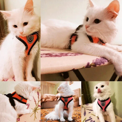 Cat Harness Vest Walking Lead Leash For Puppy Dogs Collar