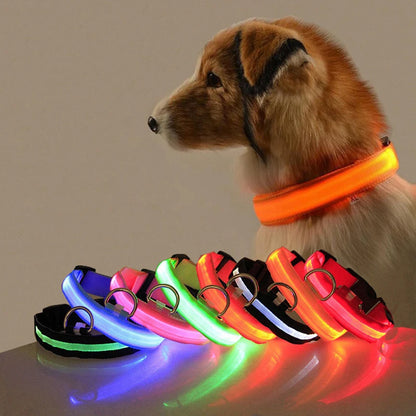 Led Dog Collar Light Anti-lost Collar For Dogs Puppies Night