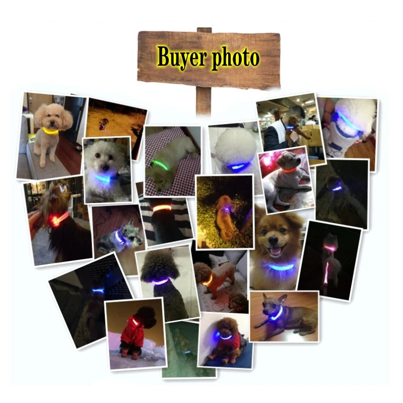 Led Dog Collar Light Anti-lost Collar For Dogs Puppies Night