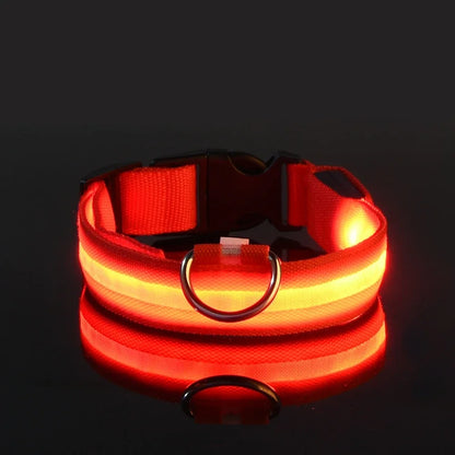 LED Night Safety Flashing Glow In The Dark Pet Dog Leash