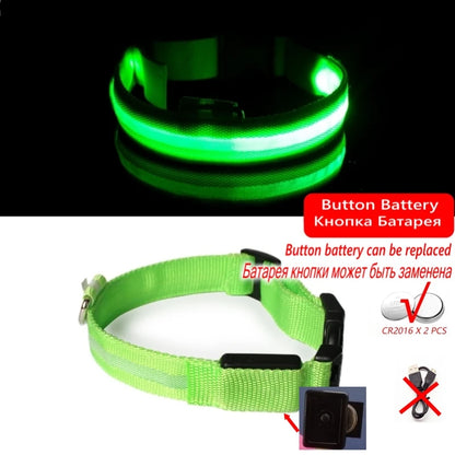 Led Dog Collar Light Anti-lost Collar For Dogs Puppies Night