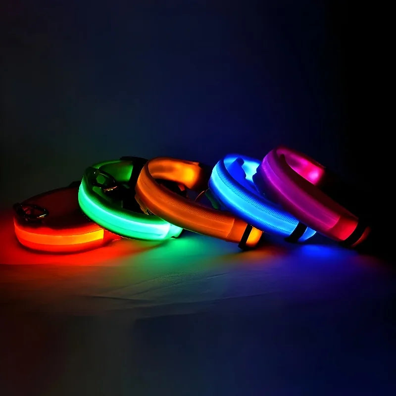 LED Night Safety Flashing Glow In The Dark Pet Dog Leash