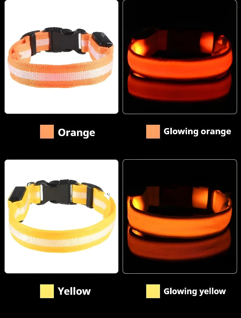 LED Night Safety Flashing Glow In The Dark Pet Dog Leash