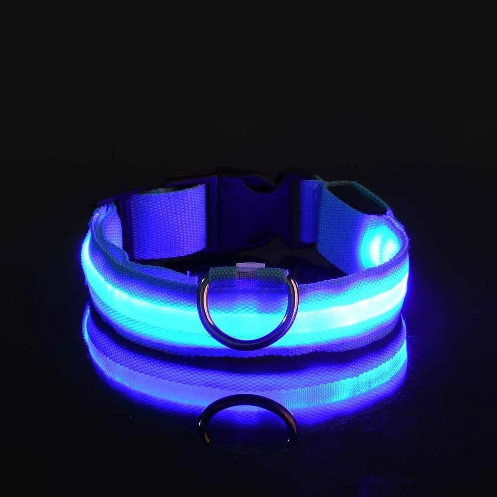 LED Night Safety Flashing Glow In The Dark Pet Dog Leash