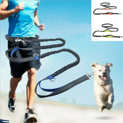 Leash Traction Rope Pet Dog Running Belt Elastic Hands Pull Dog