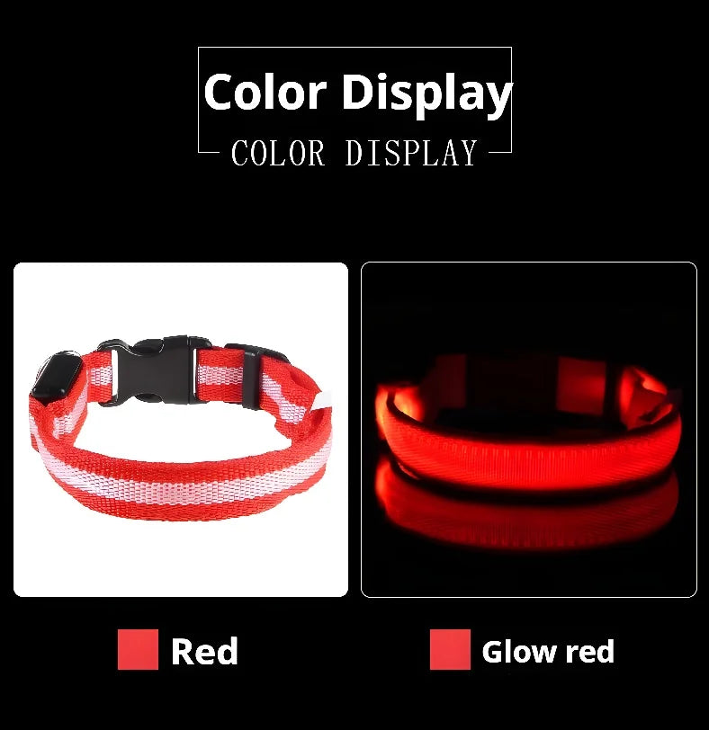 LED Night Safety Flashing Glow In The Dark Pet Dog Leash