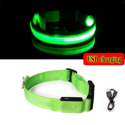 Led Dog Collar Light Anti-lost Collar For Dogs Puppies Night