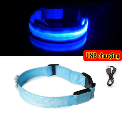 Led Dog Collar Light Anti-lost Collar For Dogs Puppies Night