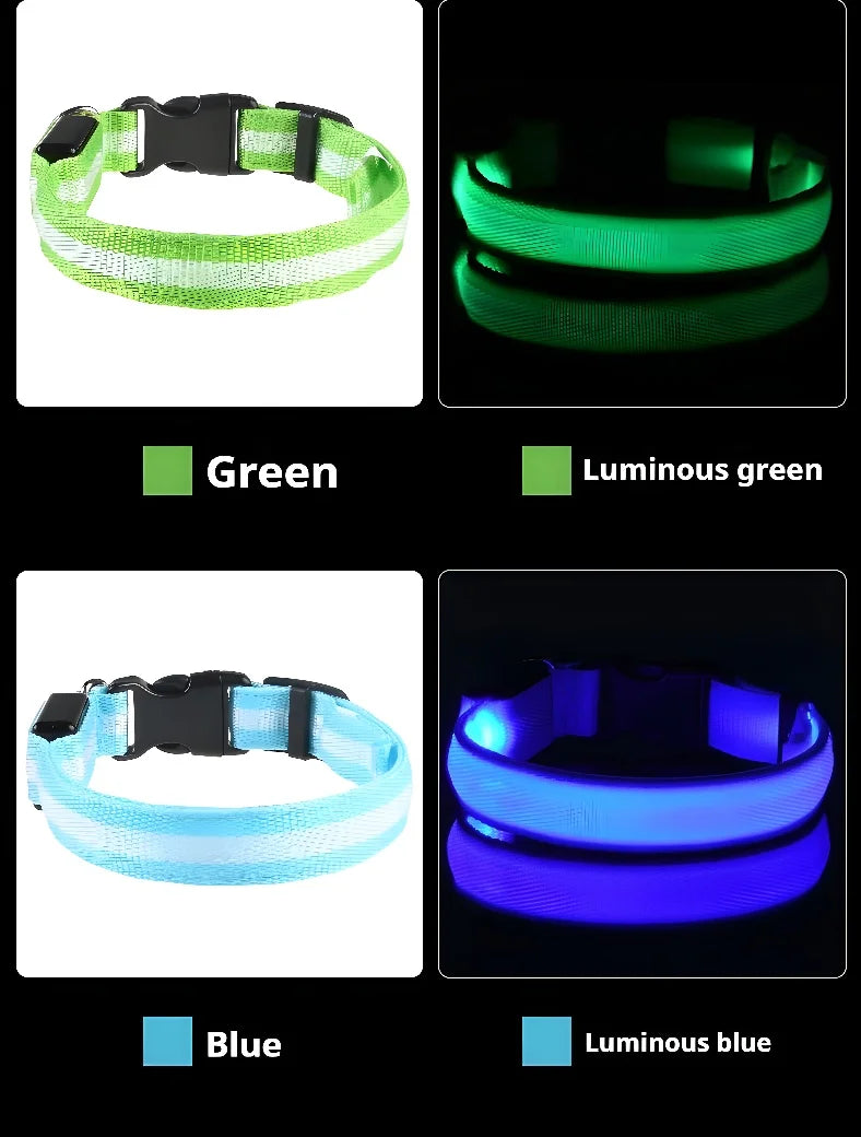 LED Night Safety Flashing Glow In The Dark Pet Dog Leash