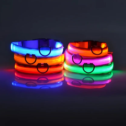 LED Night Safety Flashing Glow In The Dark Pet Dog Leash