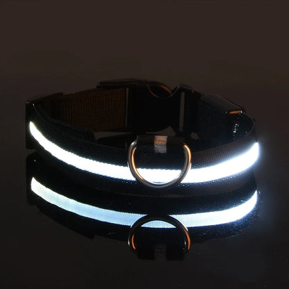 LED Night Safety Flashing Glow In The Dark Pet Dog Leash