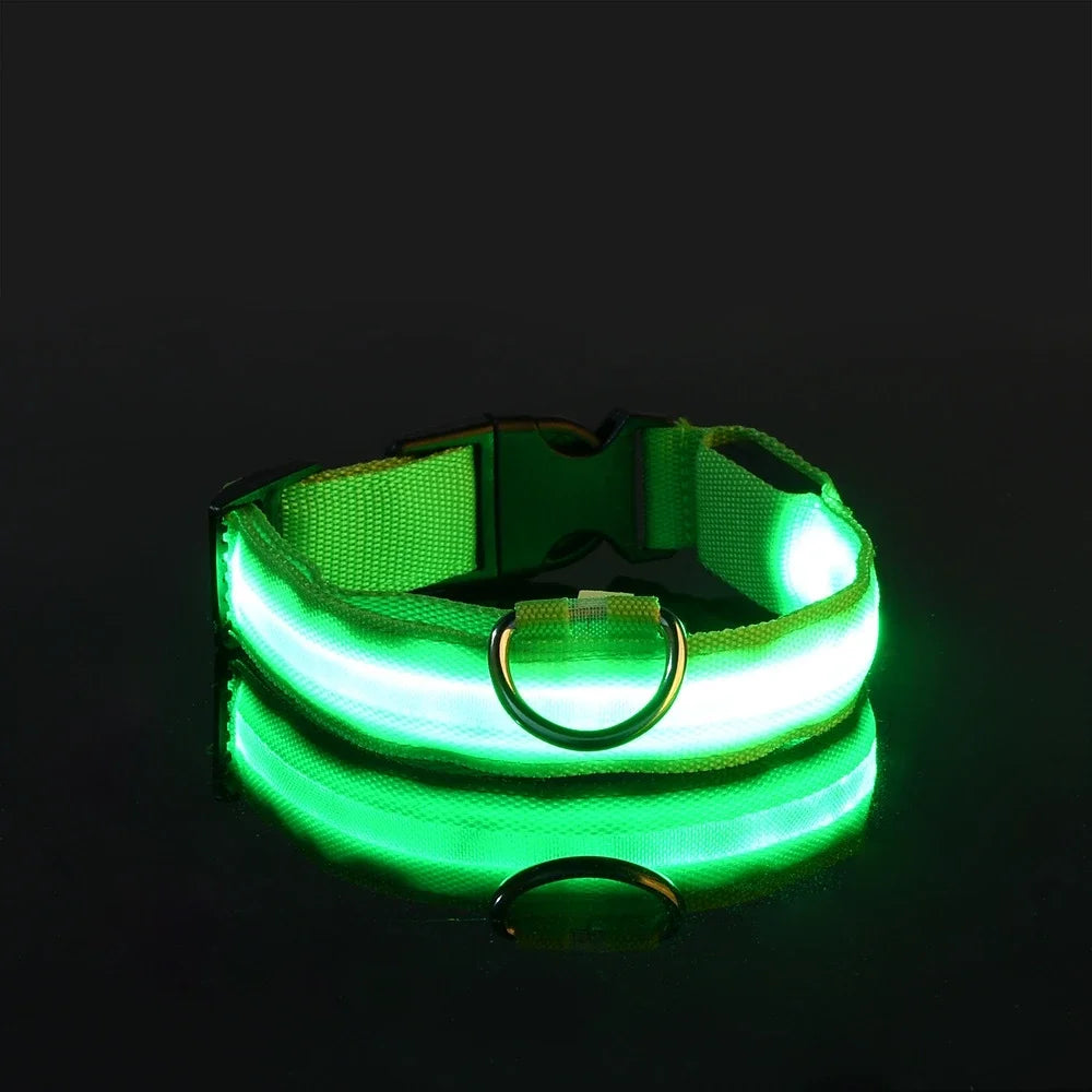 LED Night Safety Flashing Glow In The Dark Pet Dog Leash