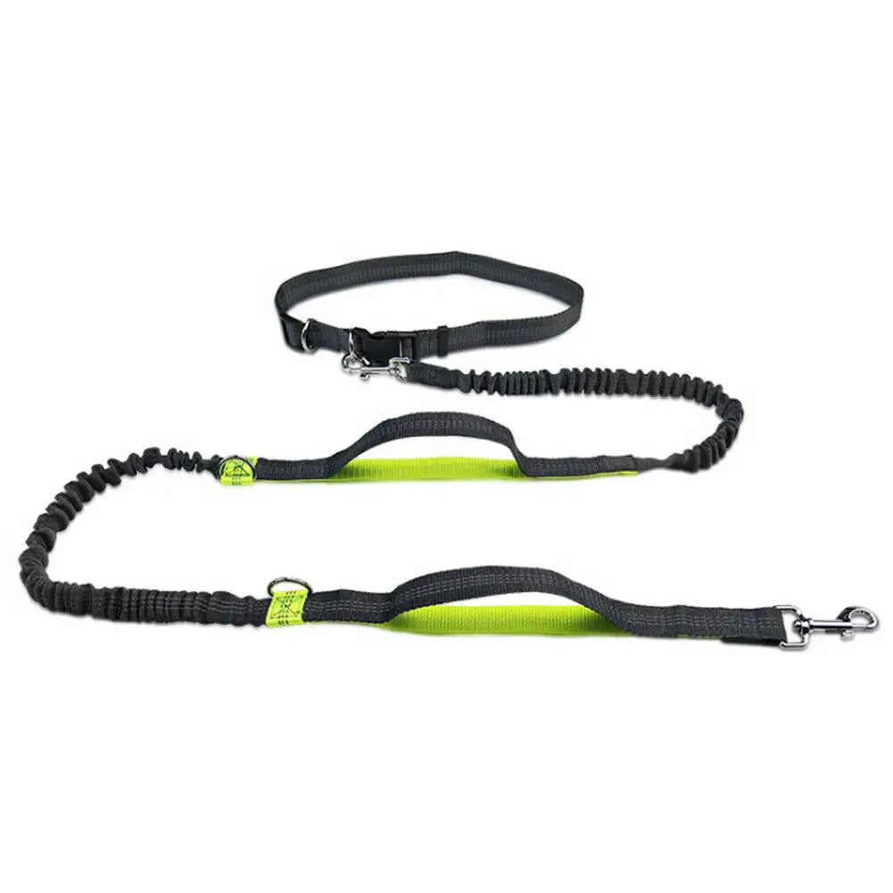 Leash Traction Rope Pet Dog Running Belt Elastic Hands Pull Dog