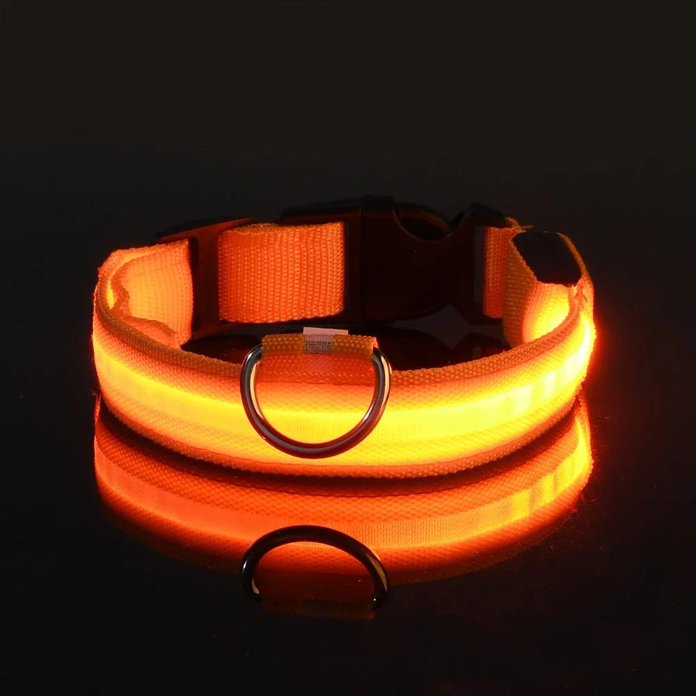 LED Night Safety Flashing Glow In The Dark Pet Dog Leash