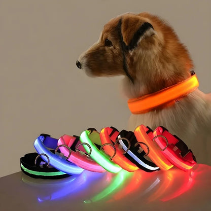 LED Night Safety Flashing Glow In The Dark Pet Dog Leash