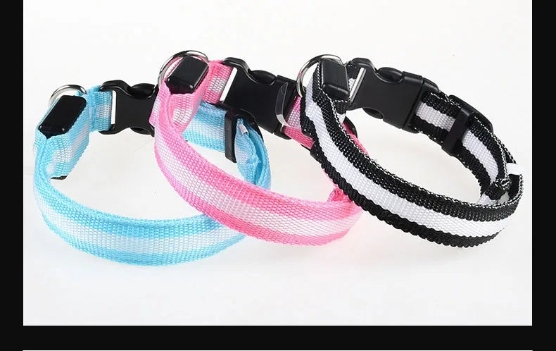 LED Night Safety Flashing Glow In The Dark Pet Dog Leash