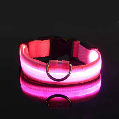 LED Night Safety Flashing Glow In The Dark Pet Dog Leash