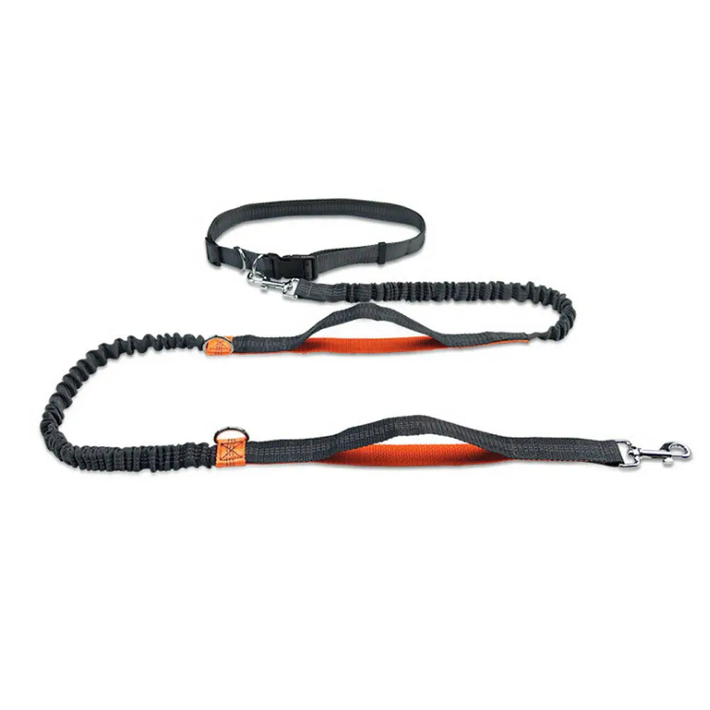 Leash Traction Rope Pet Dog Running Belt Elastic Hands Pull Dog