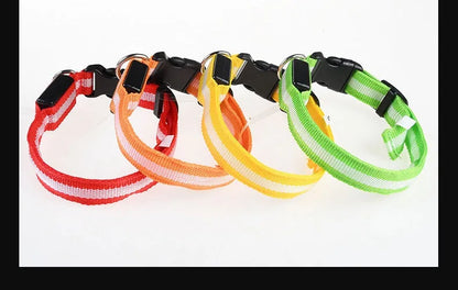 LED Night Safety Flashing Glow In The Dark Pet Dog Leash