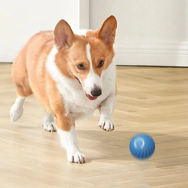 Dog Toys Intelligent Gravity Jump Ball Cat And Dog Chase Toys