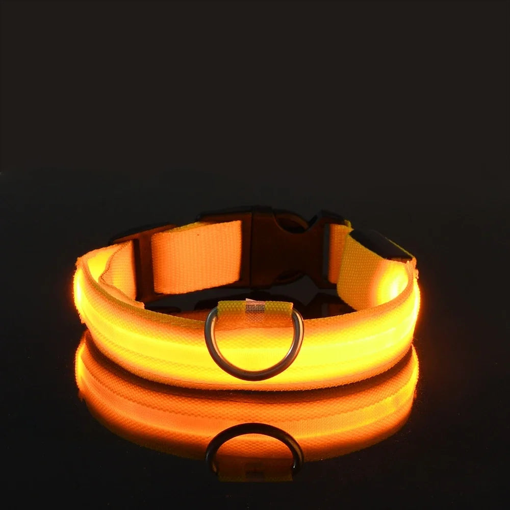 LED Night Safety Flashing Glow In The Dark Pet Dog Leash